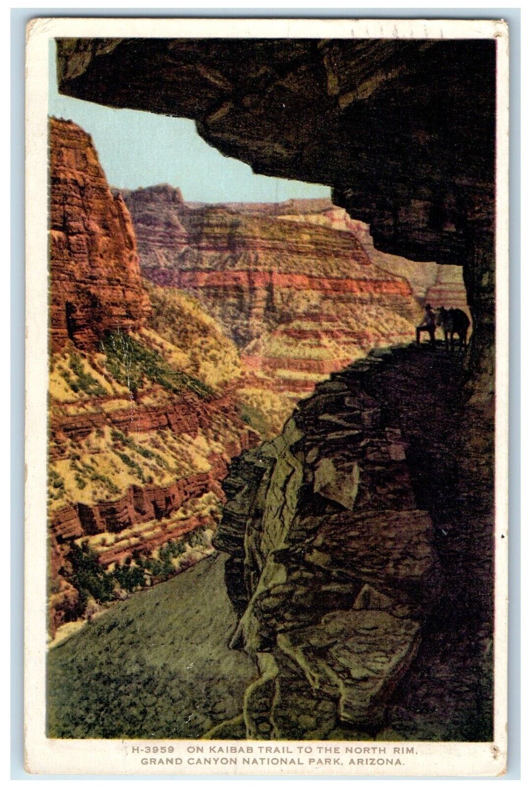 1940 Kaibab Trail Rim Grand Canyon National Park Arizona AZ Fred Harvey Postcard