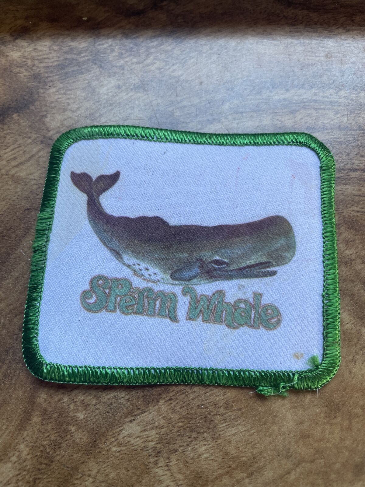Vtg 70s 80s 3” Trucker Hat Iron On Patch Sperm Whale Logo Rare Green