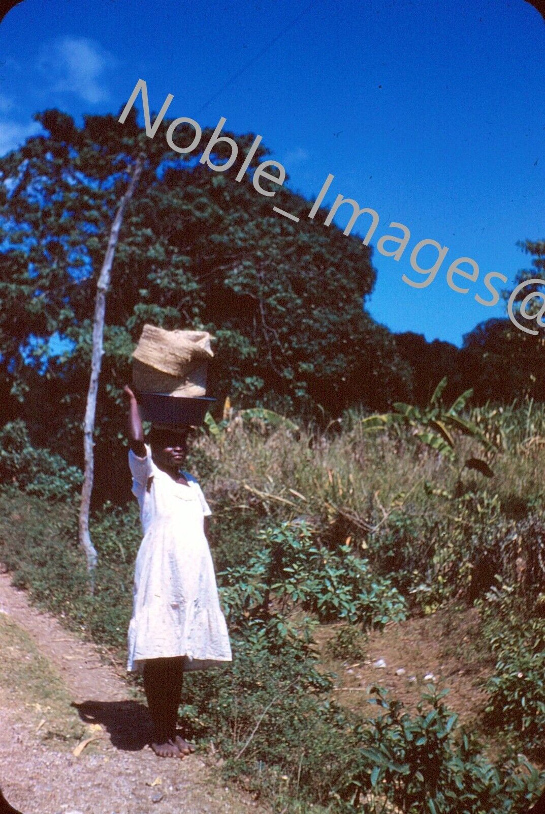 1959 Local Girl Carrying Bundle, Poverty Cap-Haitien, Haiti Kodachrome Slide