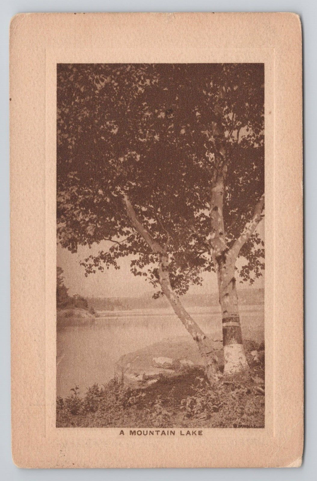 A Mountain Lake Reading Pennsylvania 1910 Antique Postcard