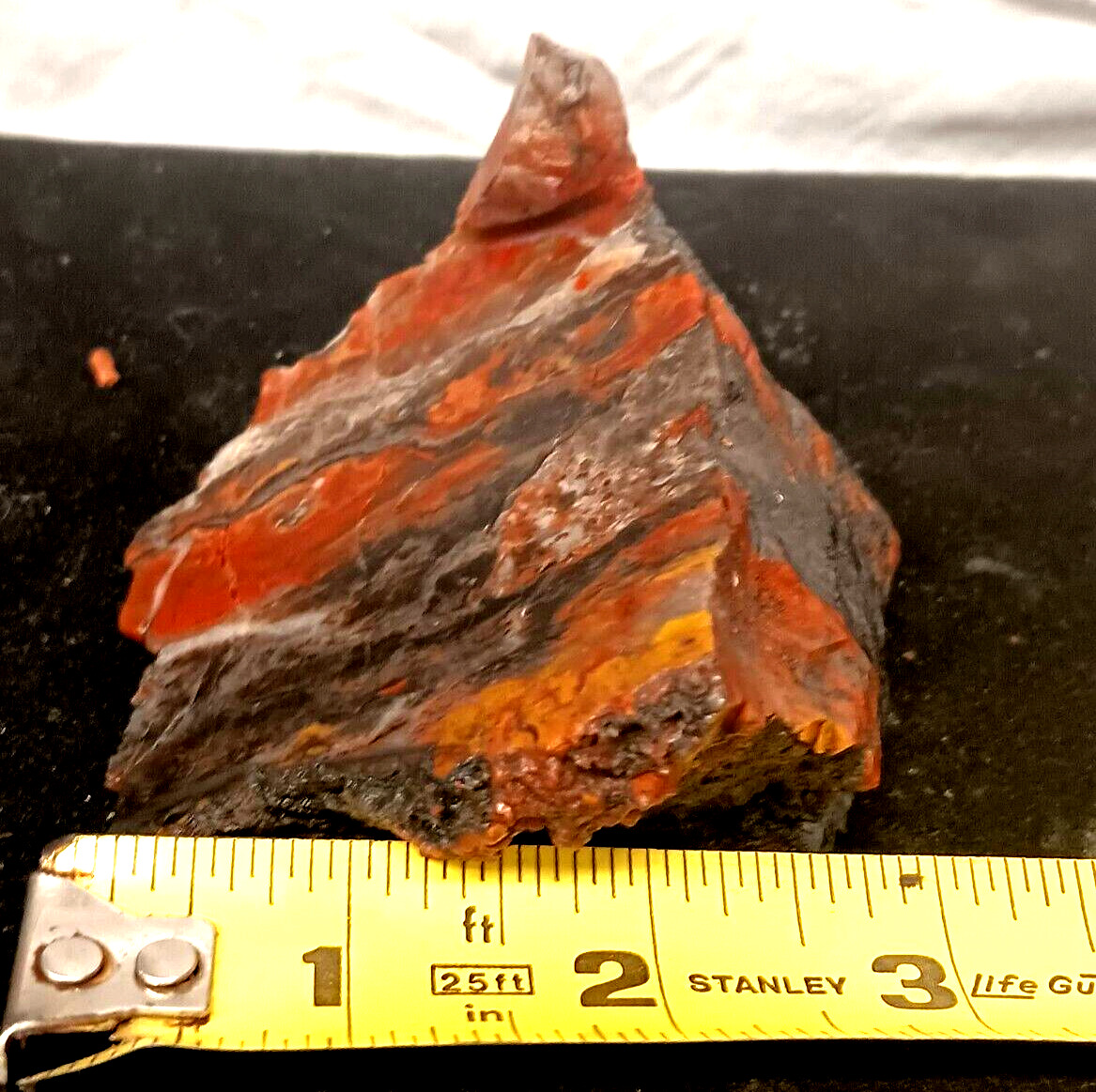 Utah Petrified Wood Rare Red Yellow Black Volcanic Polish Display Cabochon Cut