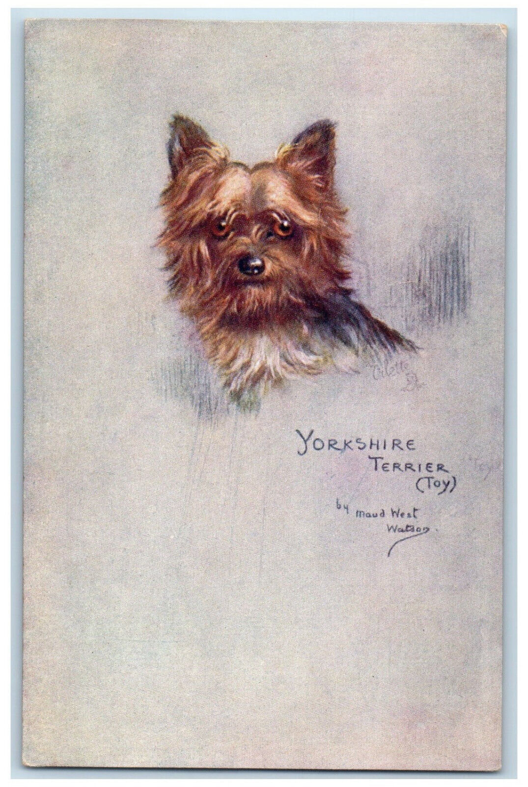 Postcard Yorkshire Terrier (Toy) Sketchy Dog Studies c1910 Oilette Tuck Dogs