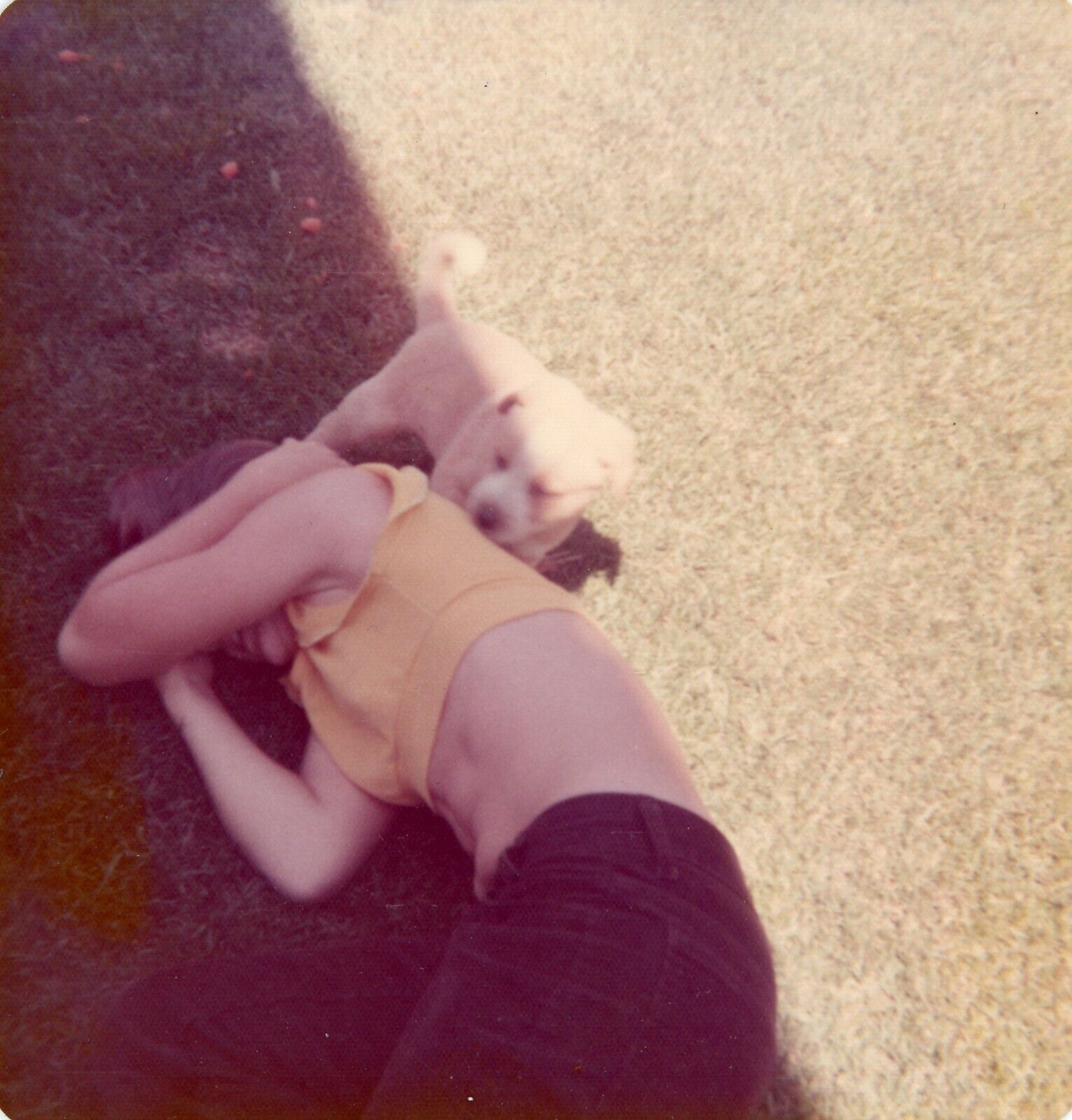 Found Photo Mystery Faceless Woman Playing with Puppy Dog Vintage 1970s