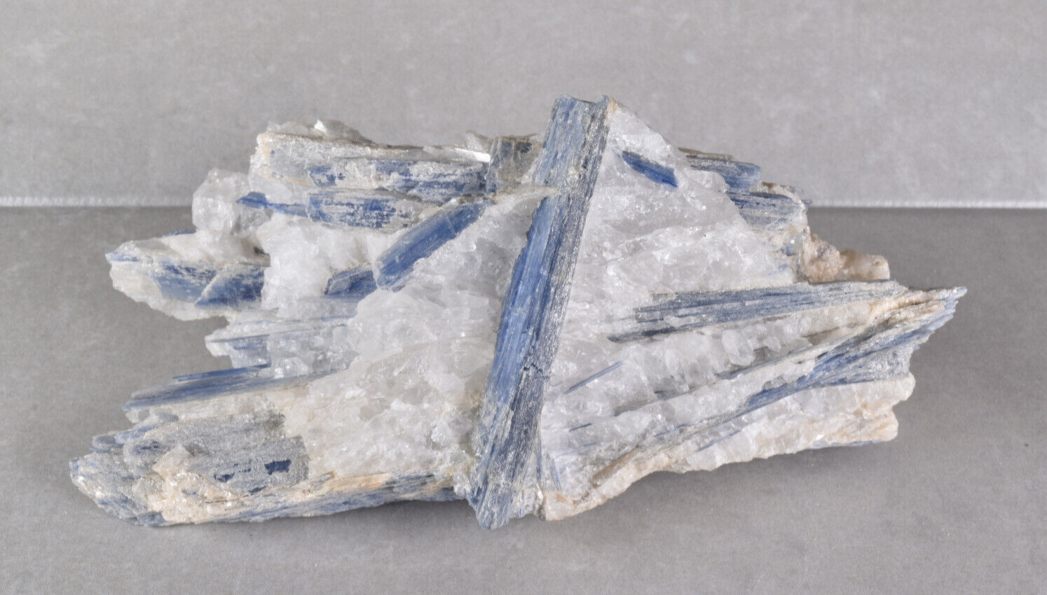 Large Light Blue Kyanite in / on Quartz Matrix from Brazil   15.5 cm # 19838