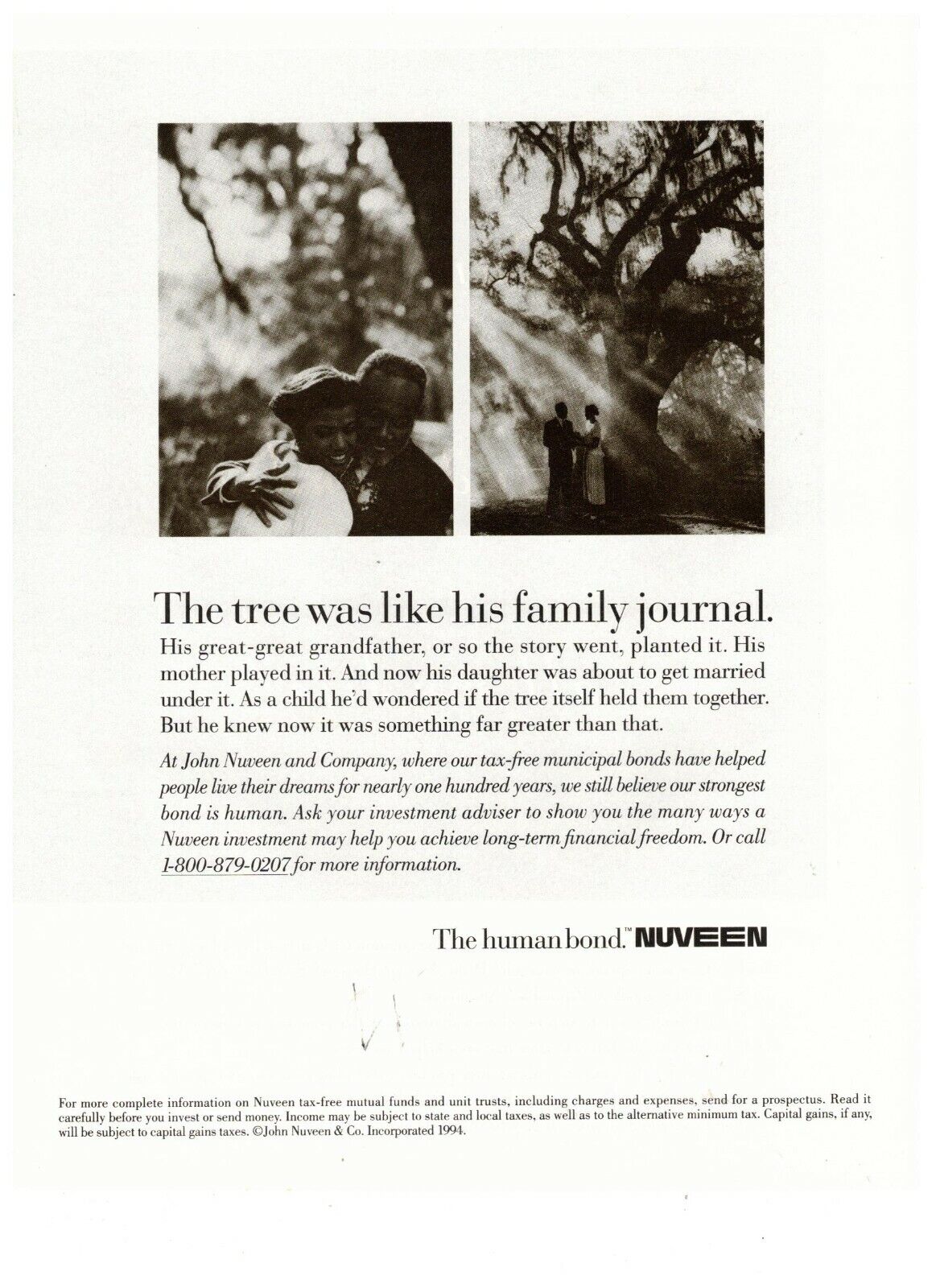 Nuveen Tree Was Like His Family Journal The Human Bond Vintage 1995 Print Ad