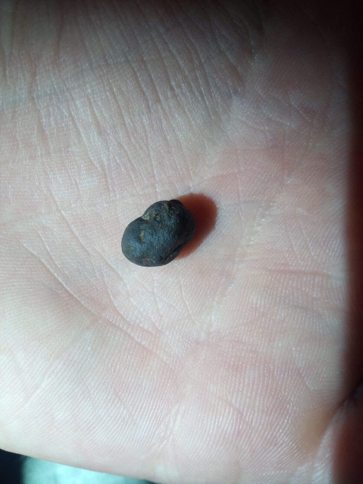 Possible Meteorite