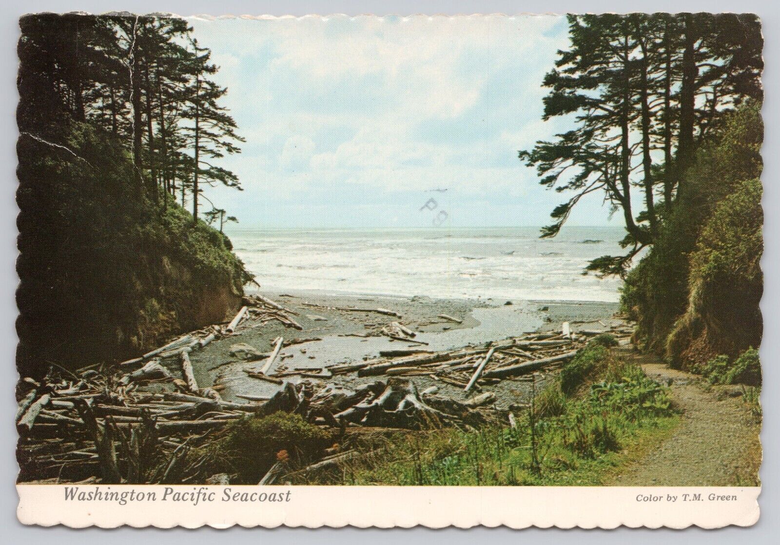 Olympic Peninsula Washington, Pacific Seacoast, Vintage Postcard