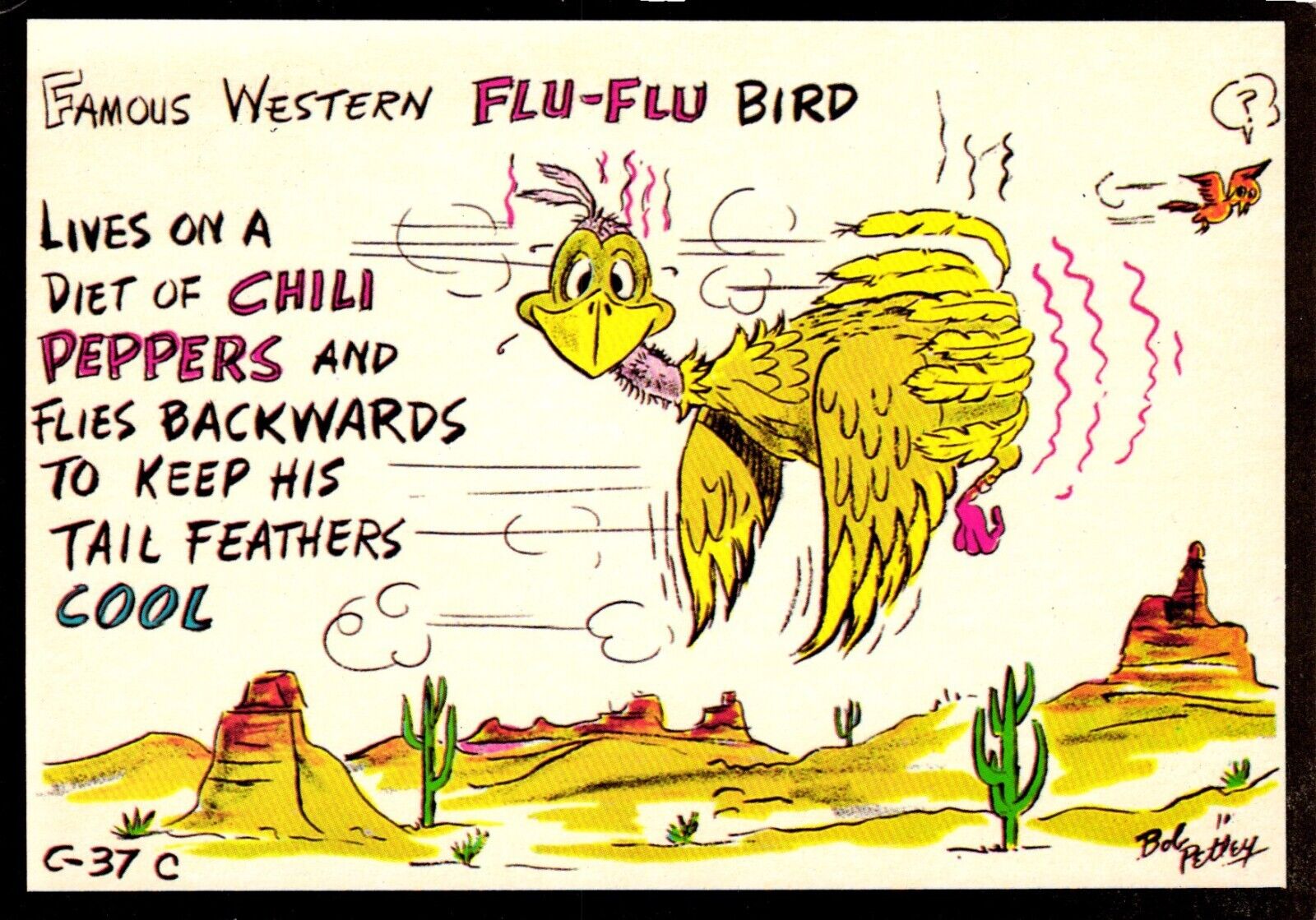 Famous Western Flu-Flu Bird Postcard