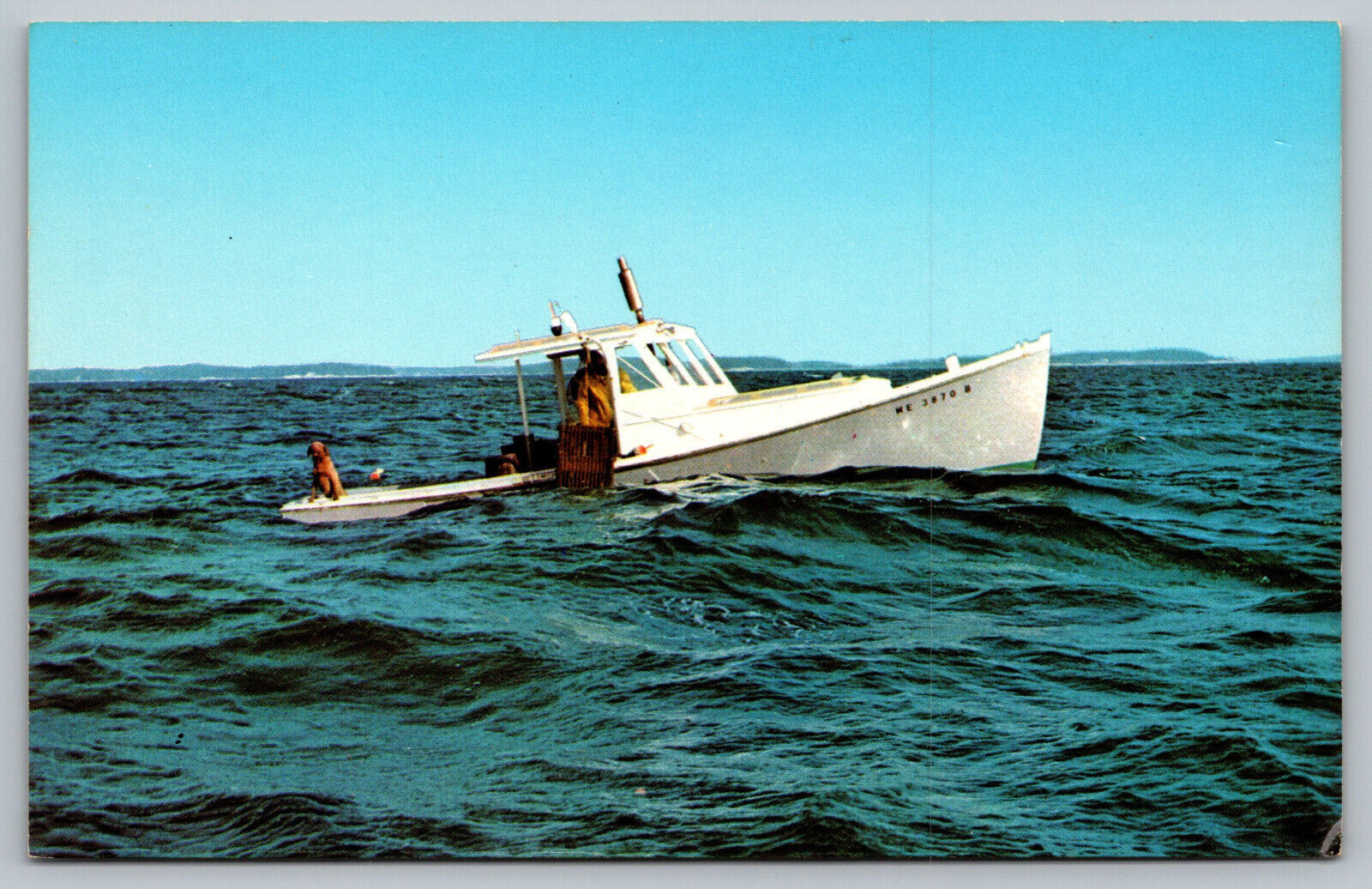 Lobstering A Maine Way Of Life Lobster Boat Vintage Postcard A8
