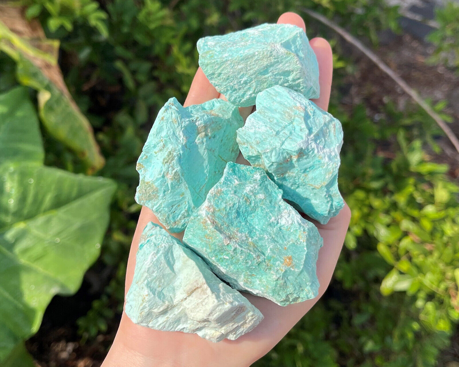 LARGE Rough Turquoise Natural Crystals, 2 - 3\