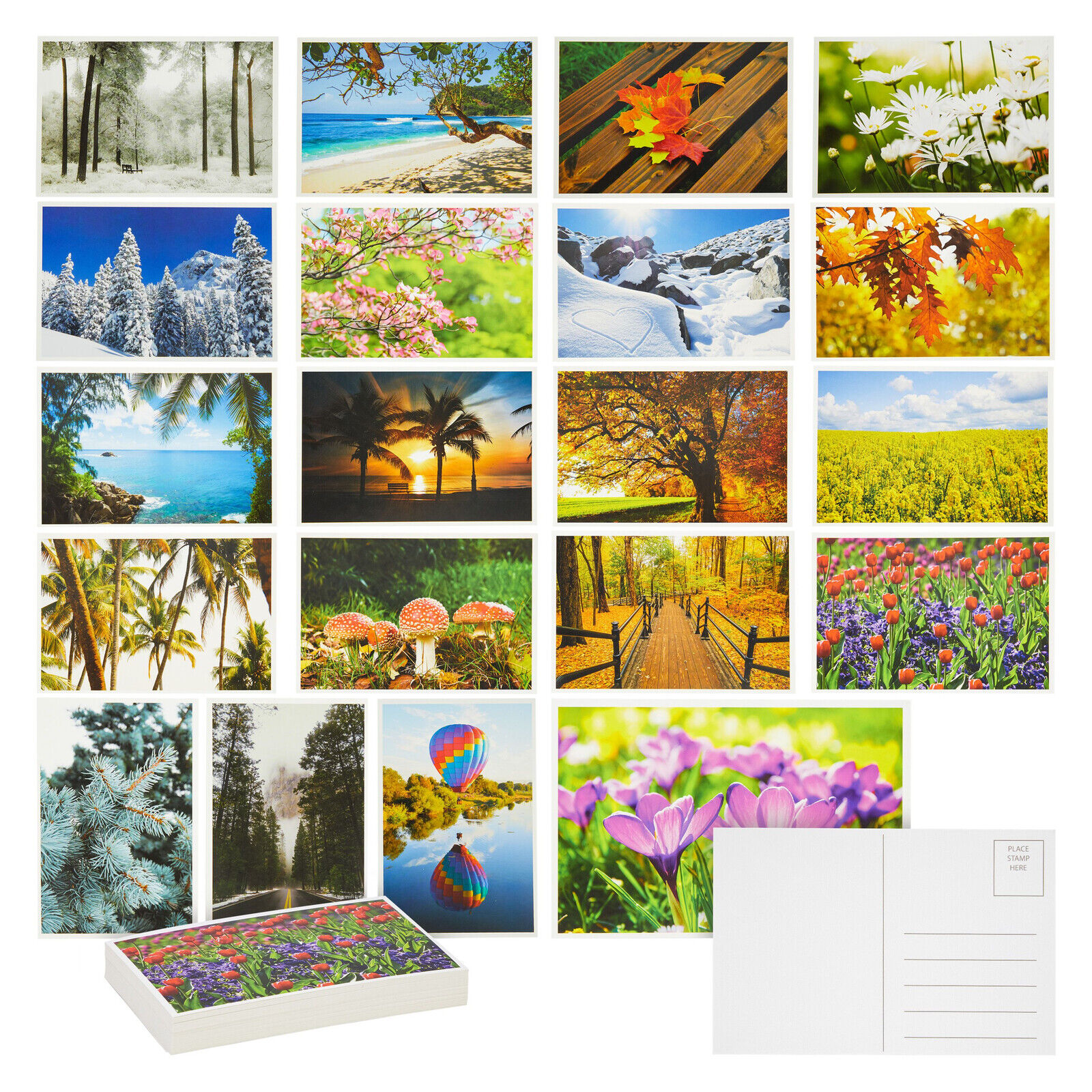 40 Pack Blank Nature Postcards Bulk for Mailing, 20 Nature Designs, 4x6 in