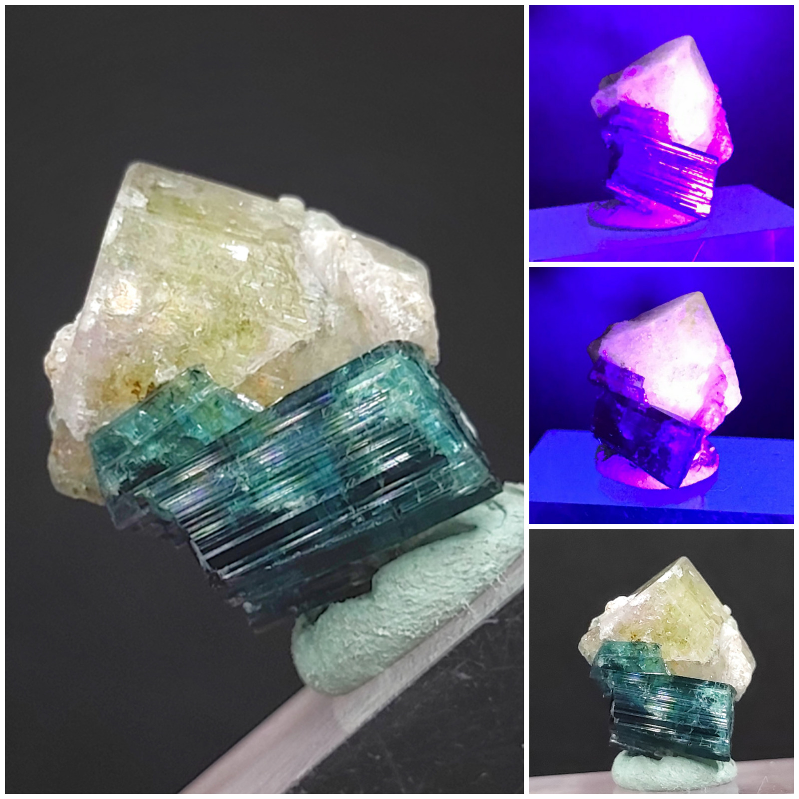 Indicolite Tourmaline with Appetite Crystal Specimen from Afghanistan 2
