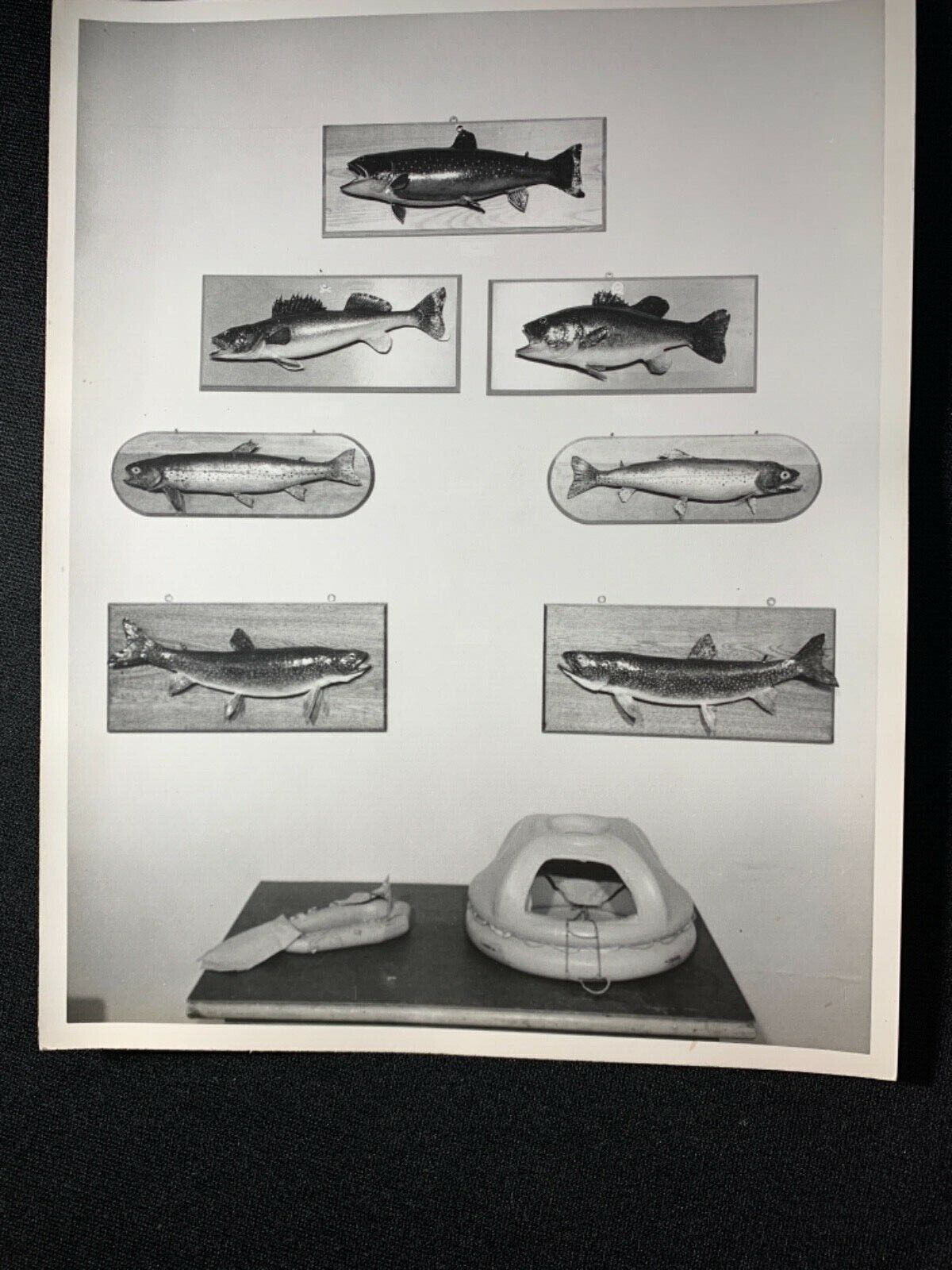 WW2 Official RCAF Royal Canadian Air Force Life Rafts Fish Training Photograph