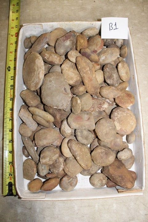 1 Large Box Full Mazon Creek Fossil Fossils Unopened Concretions Lot B1