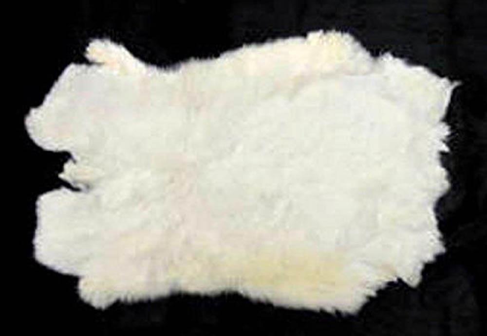 6 REAL NATURAL WHITE GENUINE RABBIT SKIN  hides fur pelt craft skins rabbits NEW