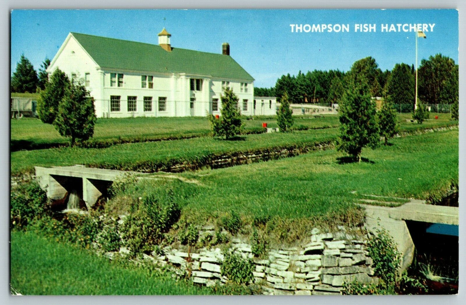 Postcard Trout Fish Hatchery Thompson Michigan 