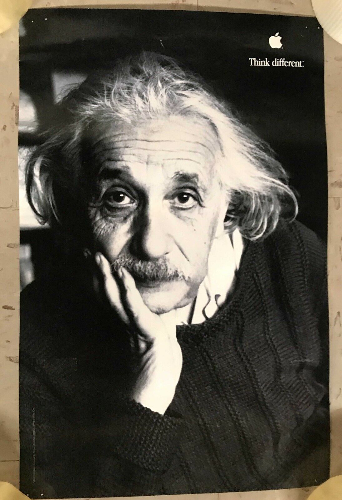 Albert Einstein Apple \