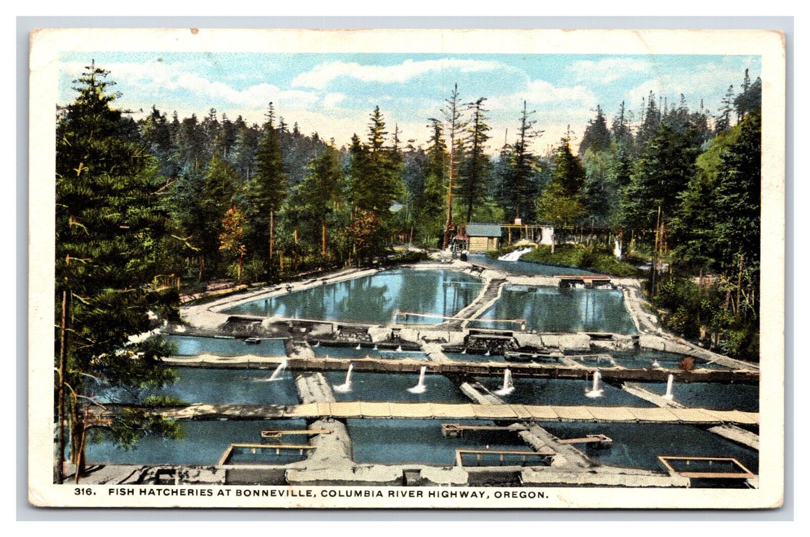 Bonneville Fish Hatcheries Columbia River Highway OR Oregon UNP WB Postcard N19
