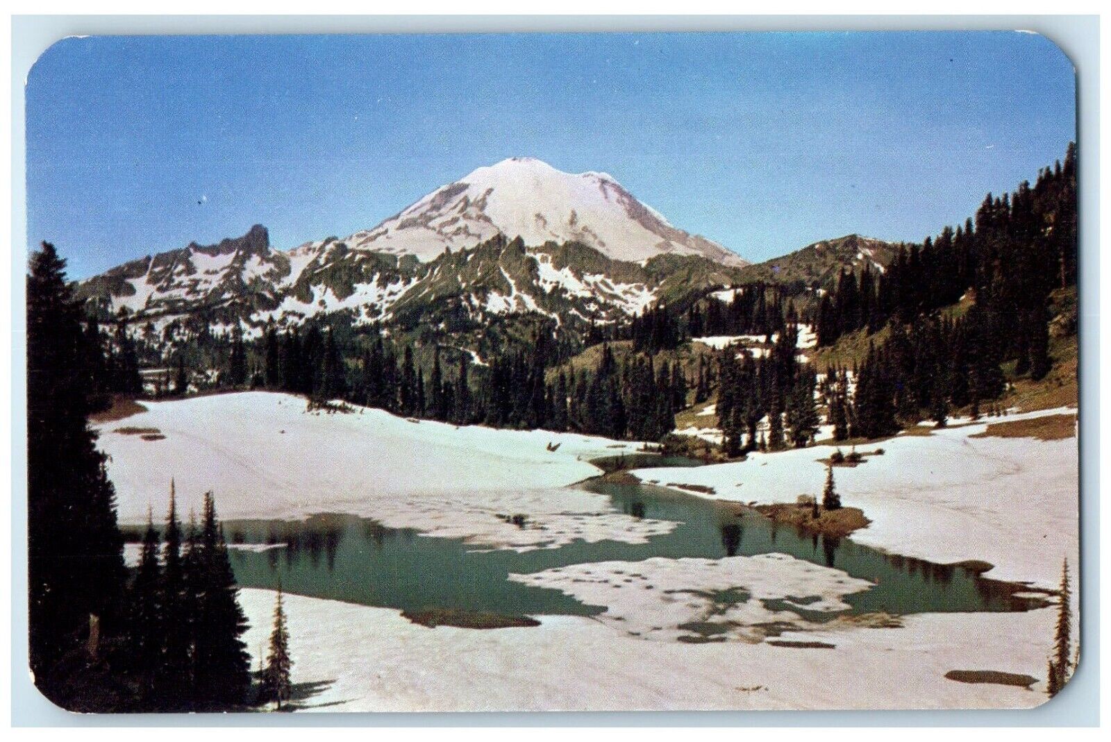 c1960 Mount Rainier Tipsu Lake Snow Winter Chinook Pass Washington WA Postcard