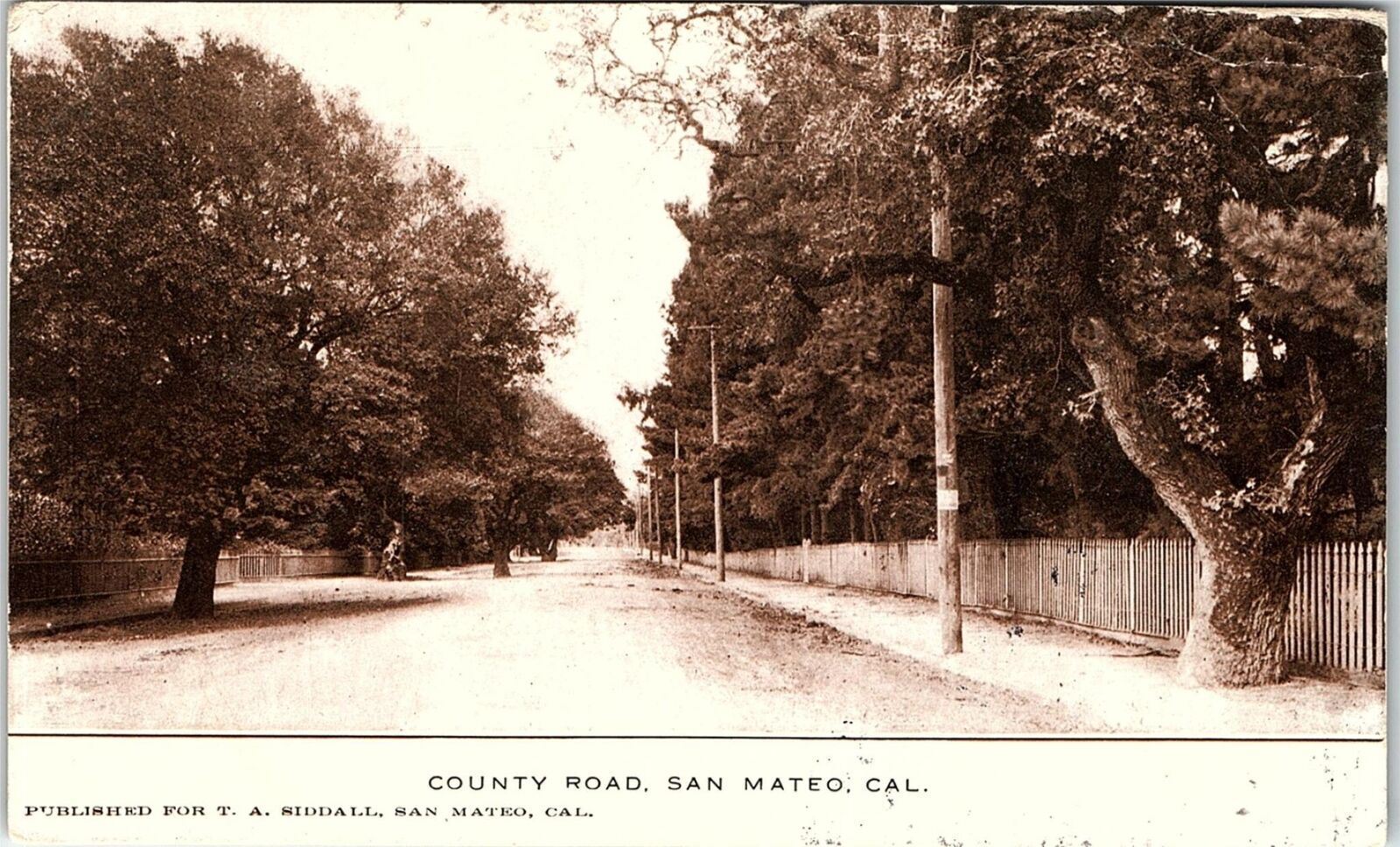 1911 SAN MATEO CALIFORNIA COUNTY ROAD TREE LINED PICKET FENCE POSTCARD 41-304
