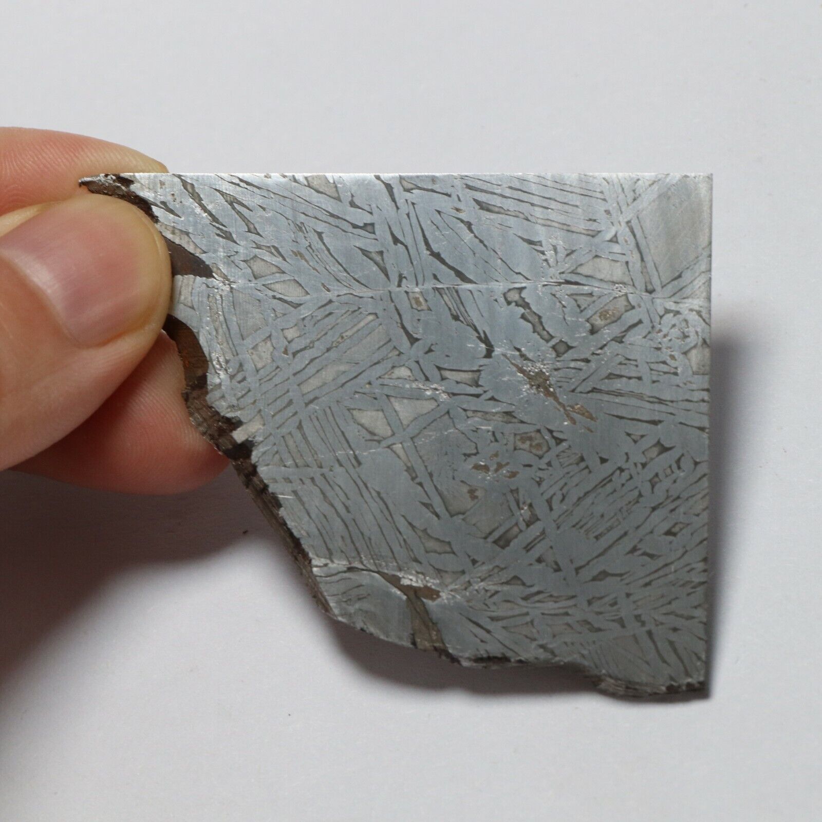 33g Muonionalusta meteorite part slice  A2455