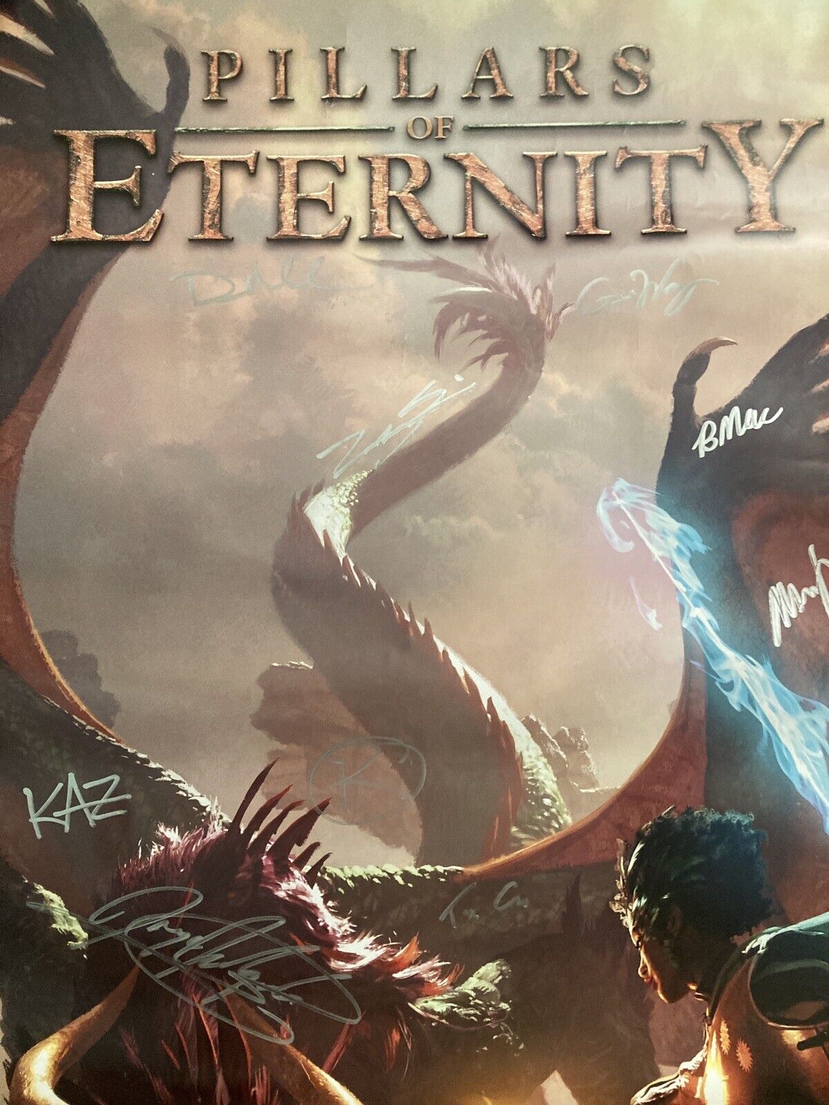 Pillars Of Eternity ORIGINAL Poster SIGNED PS4