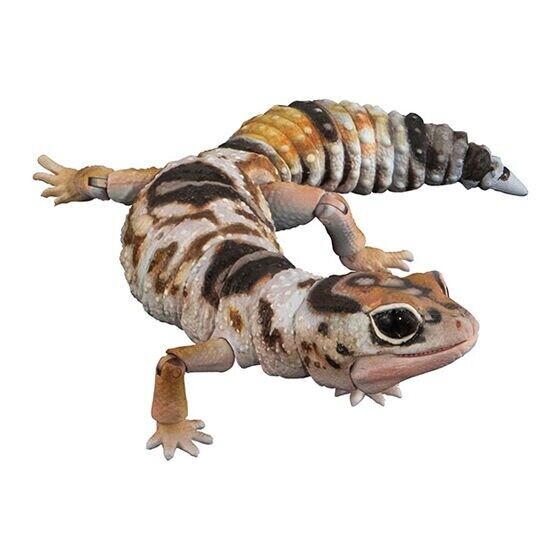 Bandai Gashapon West African Fat-tailed Gecko Action Figure ADVANCE Whiteout