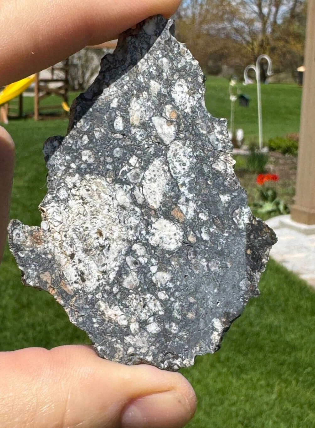 Aubrite Meteorite  21.7g  NWA 15304  STUNNING AUBRITE **From Planet Mercury?