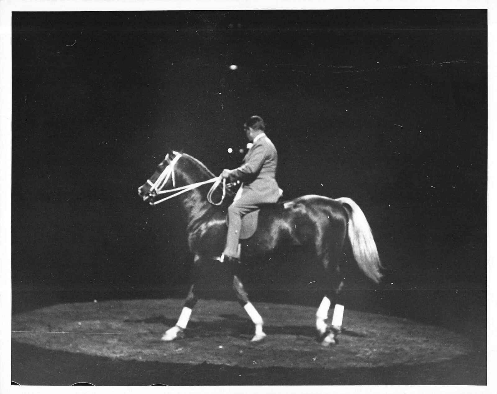 1955 Press Photo 67th National Horse Show Man Arthur Godfrey Riding Goldie