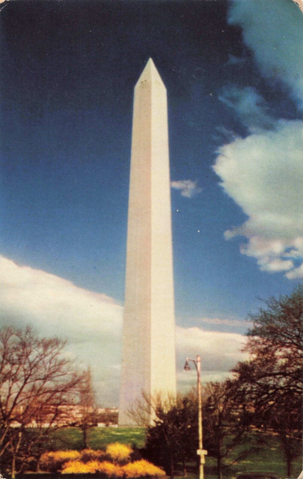 Washington DC, Washington Monument & Cherry Blossoms, Vintage Postcard