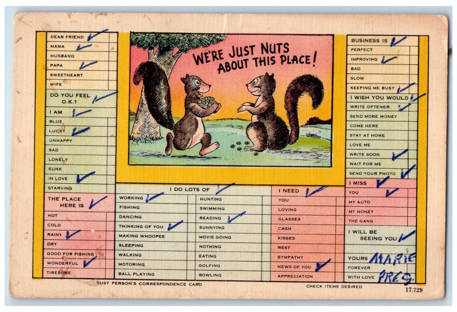 Correspondent Checklist Postcard Squirrel We\'re Just Nuts About This Place c1910