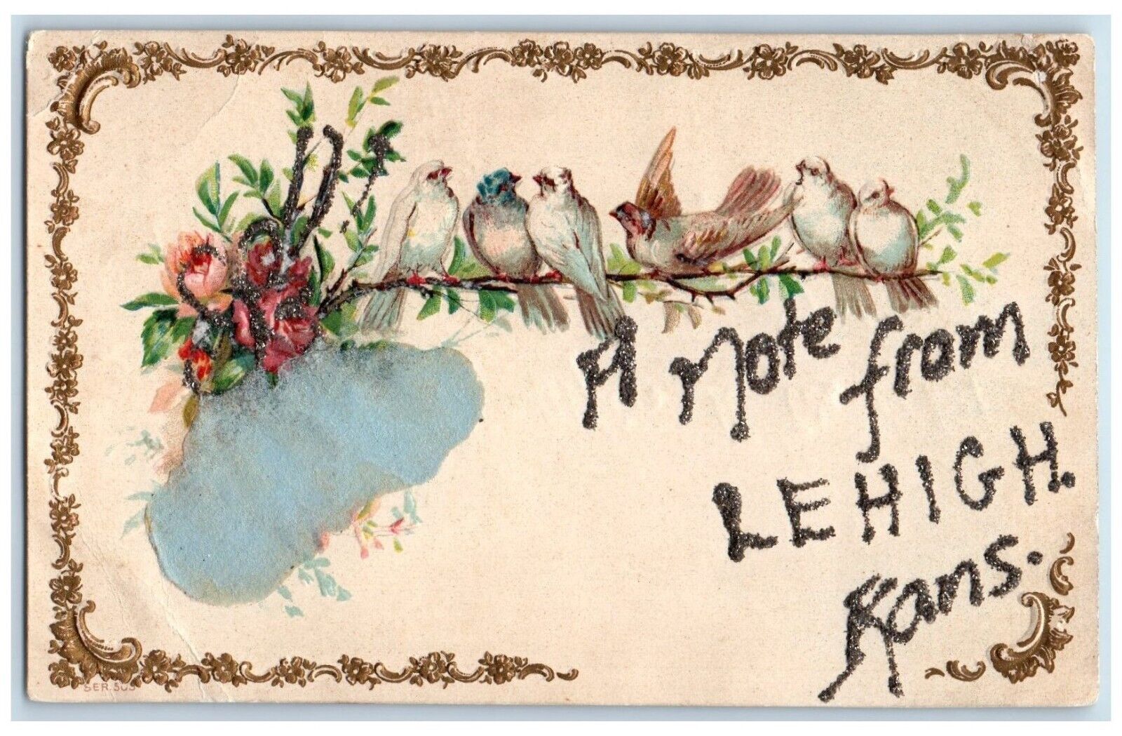 c1910 A Note From Lehigh Dove Birds Flower Embossed Glitter Kansas KS Postcard