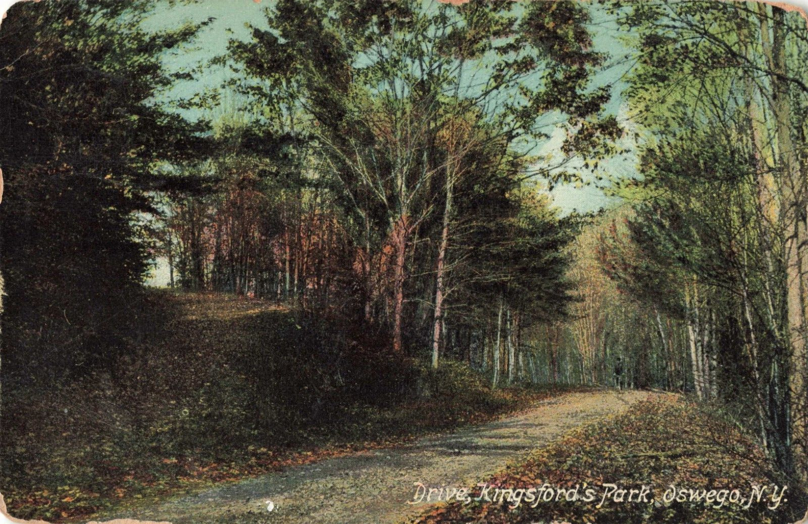 Oswego NY New York, Kingsford's Park Drive, Vintage Postcard