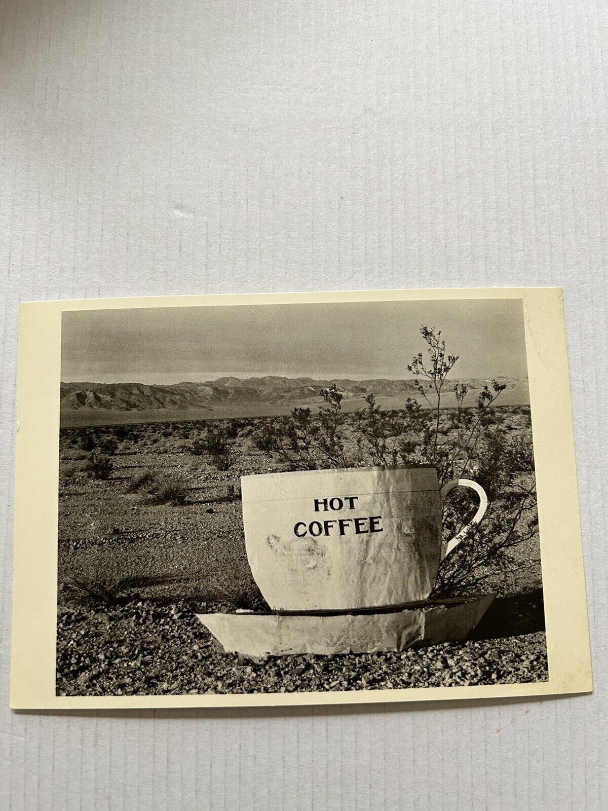 Hot Coffee Postcard Siberia Edward Weston Fotofolio Mojave Desert Unposted