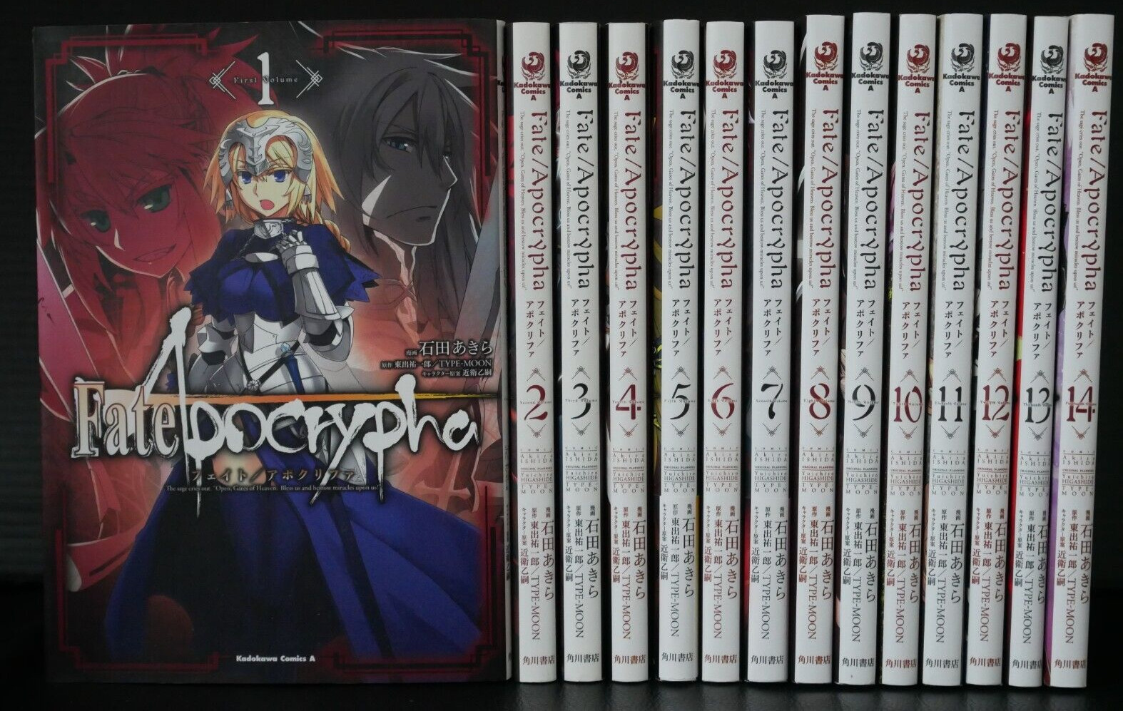 Fate/Apocrypha Manga Collection Manga 1-14 by Akira Ishida, Type-Moon - Japan
