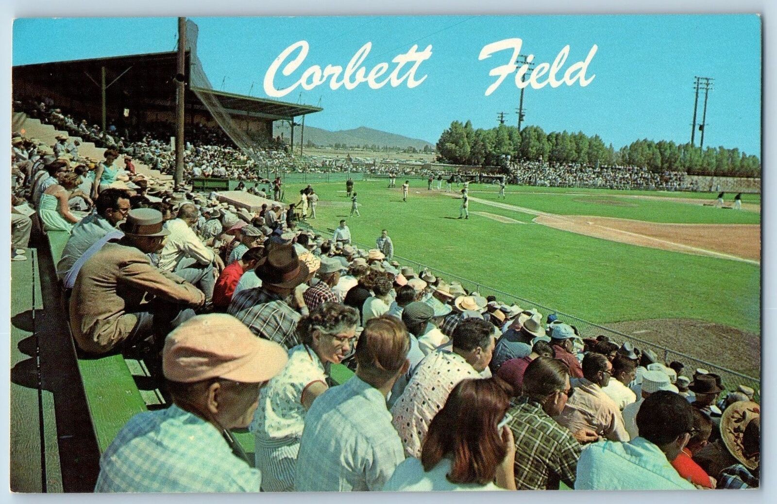 Tucson Arizona Postcard Hi Corbett Field Training Camp Stadium Baseball c1960\'s