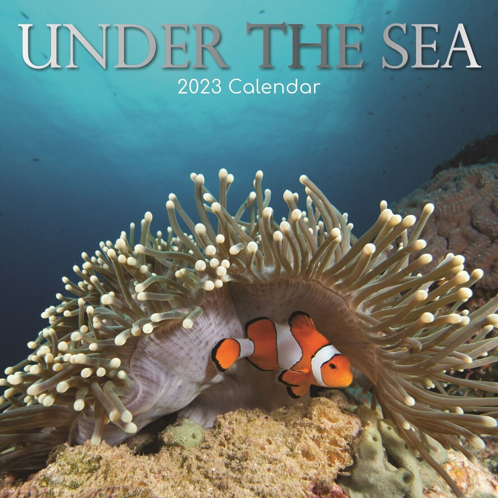 2023 Wall Calendar - Under the Sea, 12x12\