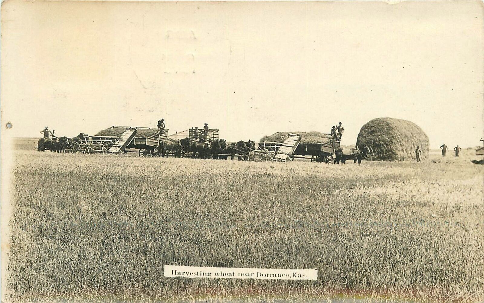 Postcard RPPC Kansas Dorrance Harvesting Wheat Farm Agriculture 1912 23-3407
