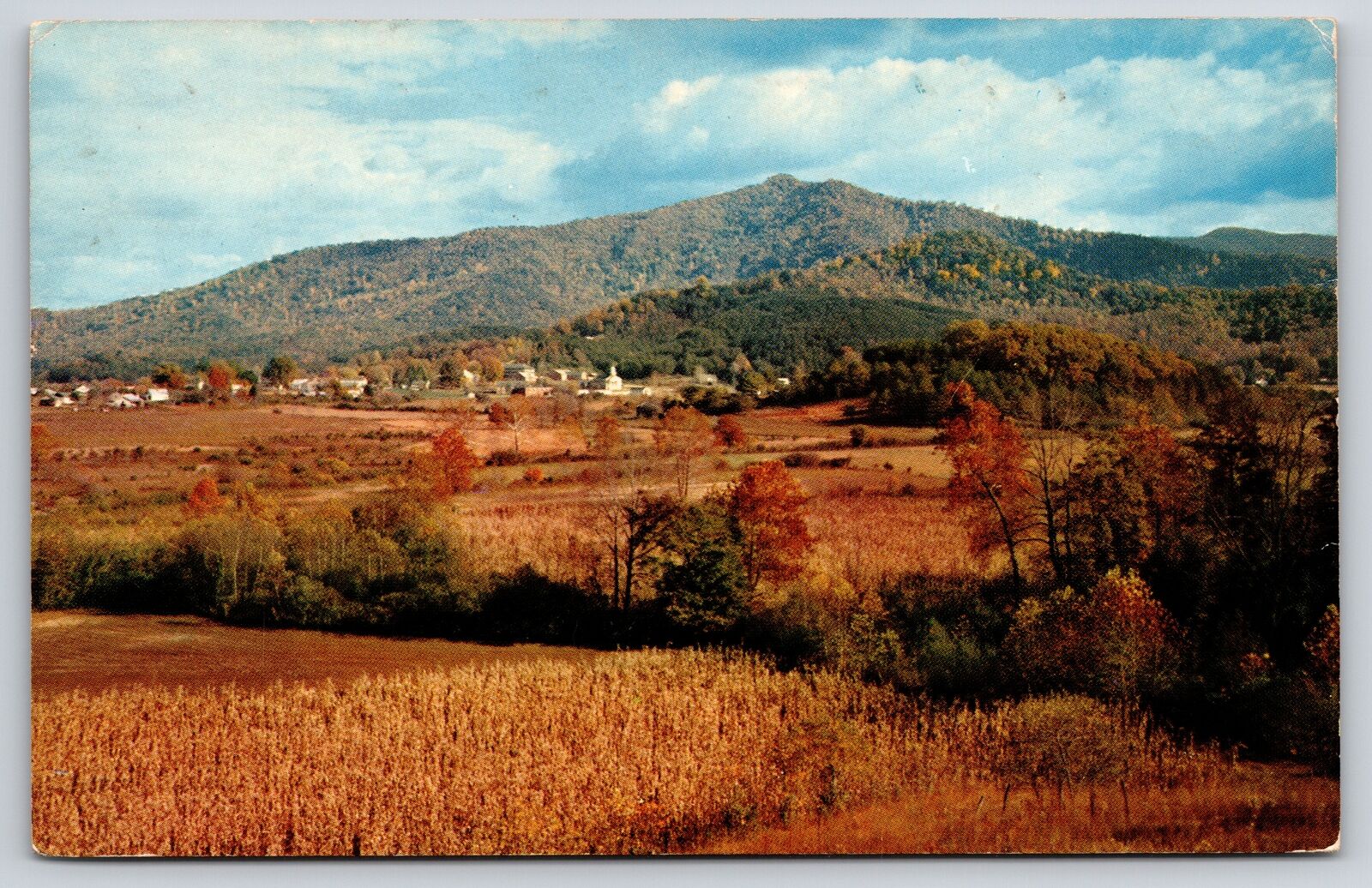 Young Harris Georgia~Mountain Scene In Young Harris Village~Vintage Postcard