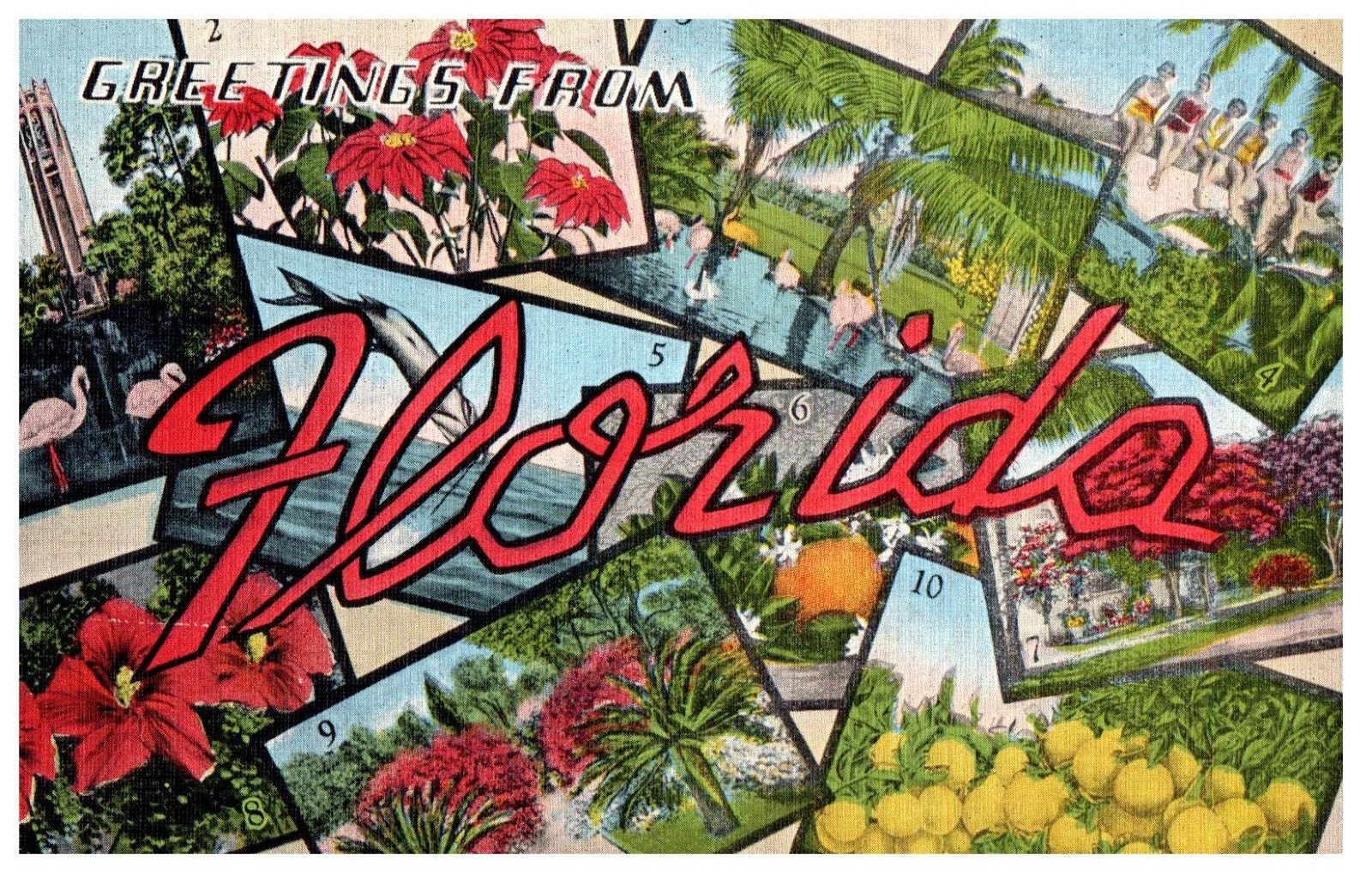 Greetings From Florida Multiple Views Florida Postcard