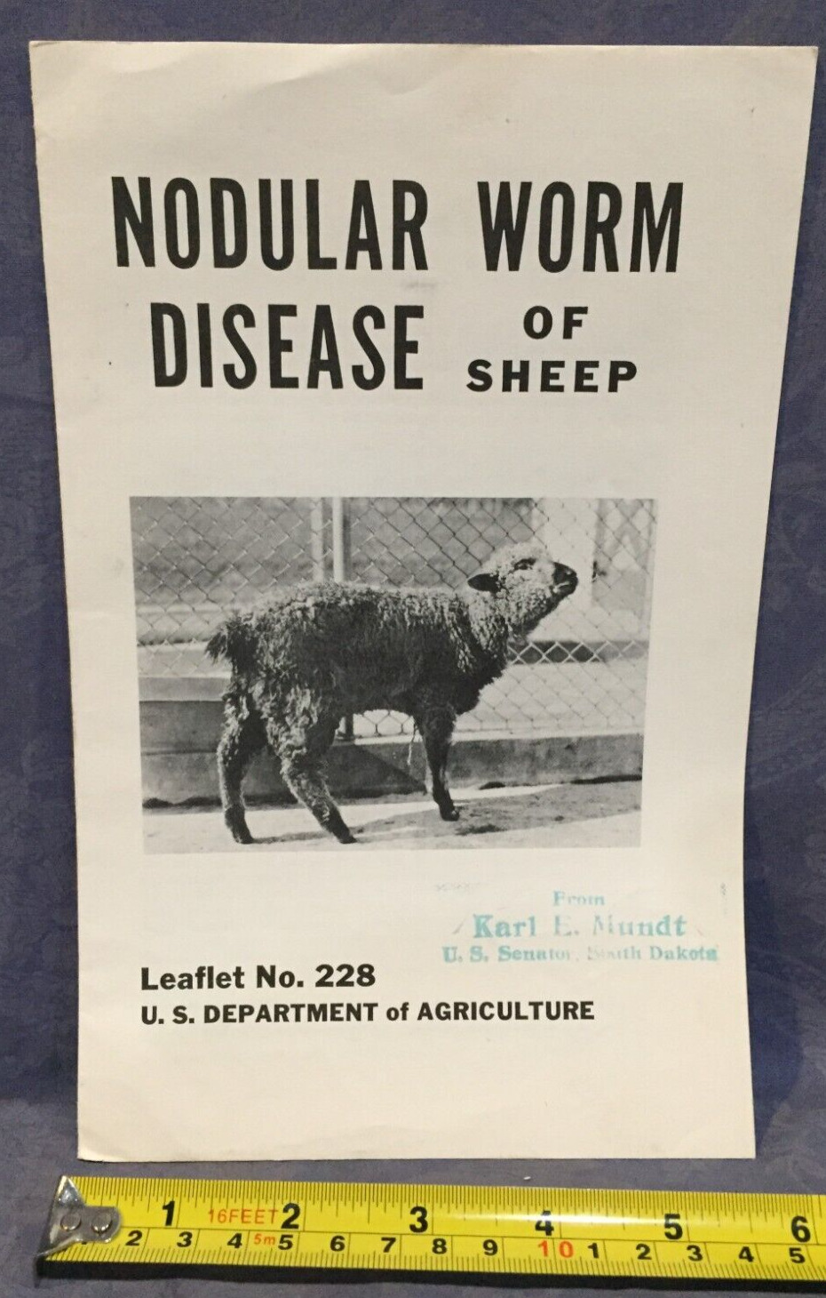 Nodular Worm Disease Of Sheep Leaflet No. 228 USDA