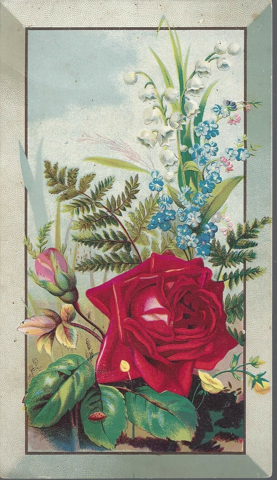 Vintage Fleischmann & CO Compressed Yeast Advertising Card