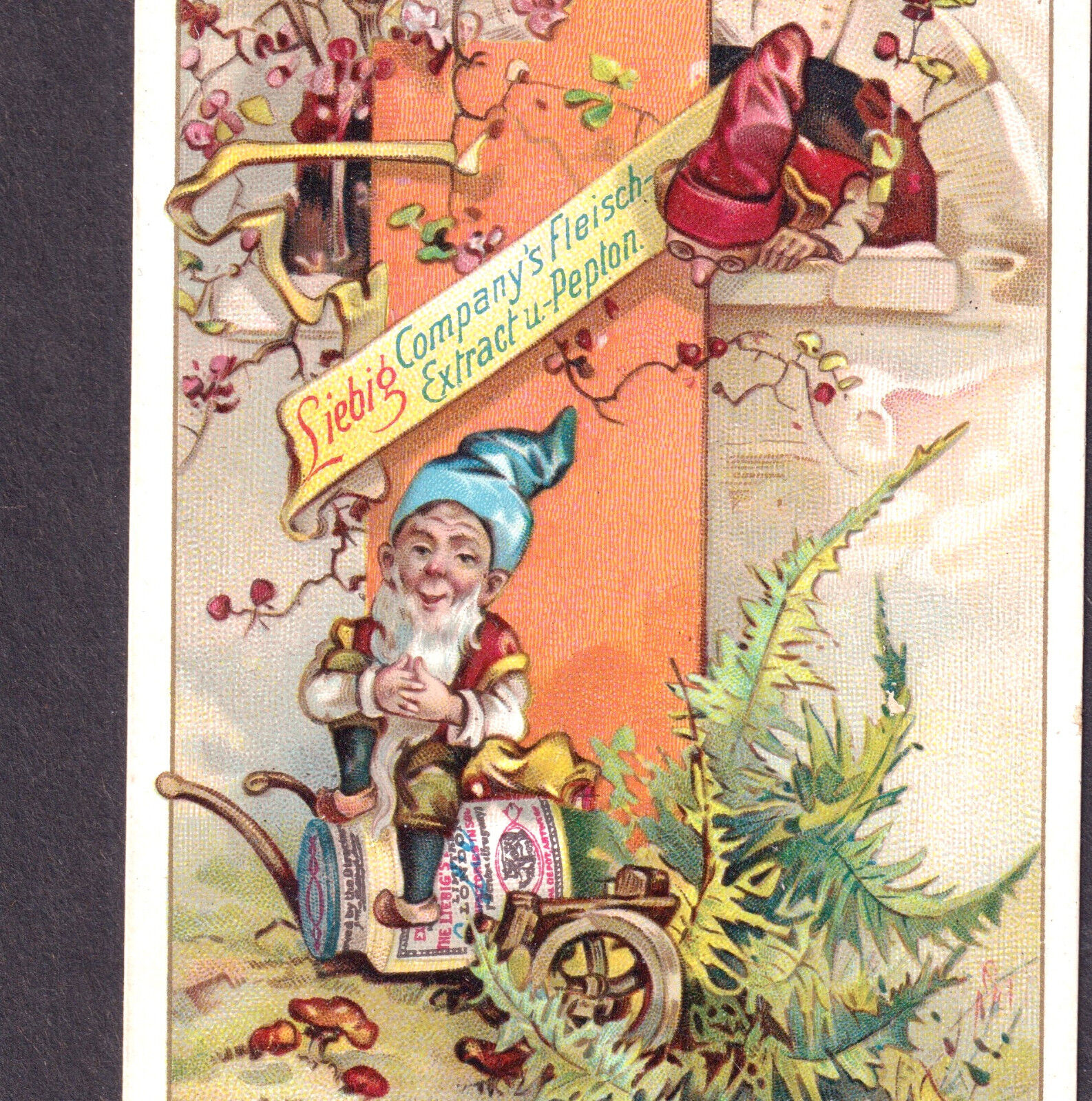 Antique 120 yrs old Garden Gnome Dwarf Elf Liebig Jar Comic Victorian Trade Card