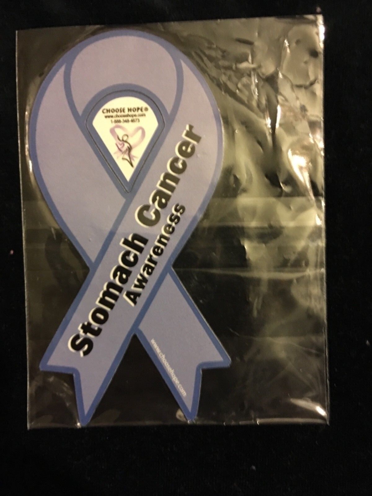 STOMACH CANCER AWARENESS MINI MAGNET (NEW IN PACKAGE)