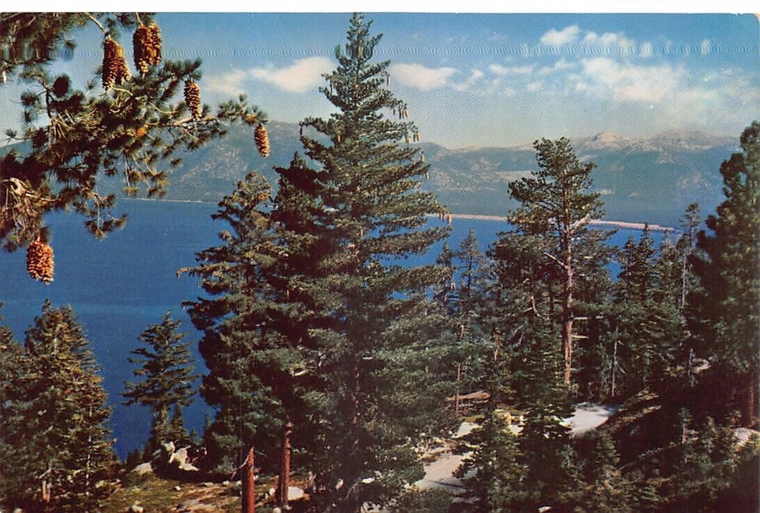 El Dorado County Tahoe CA Elevated View Lake Tahoe Vintage Postcard CP323