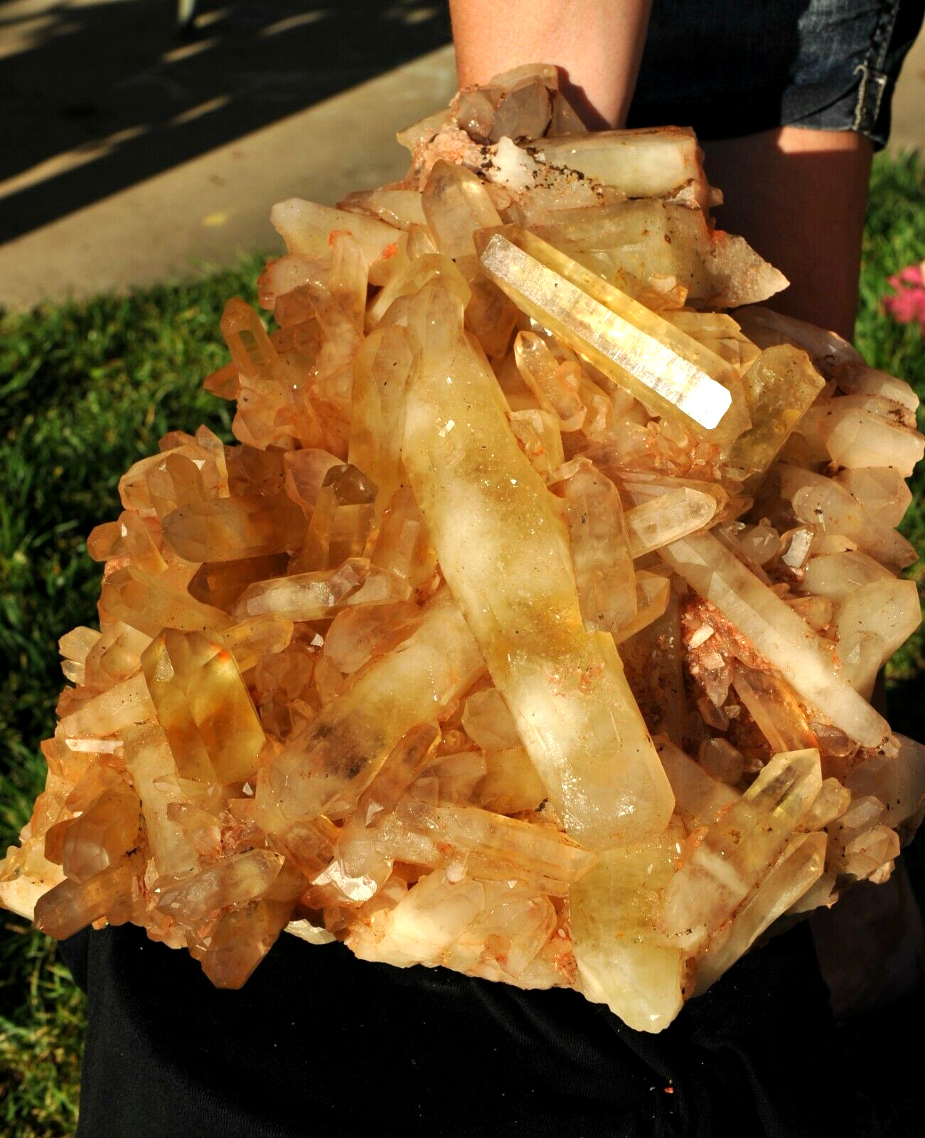 35.4 LB XL Natural Yellow Quartz Crystal Cluster Specimen