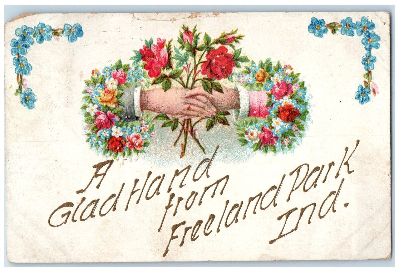 1909 A Gladhand From Freeland Park Indiana IN, Flowers Pansies Embossed Postcard