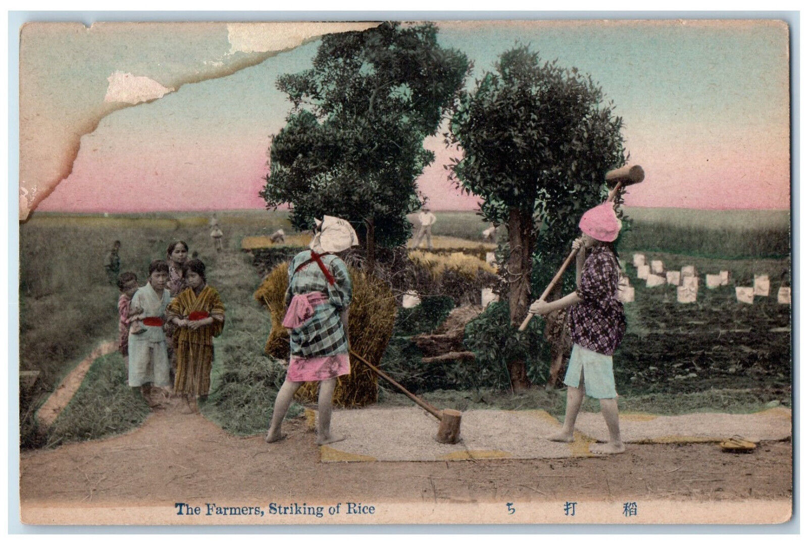 c1910 Scene of Kids Farmers Striking of Rice Japan Unposted Antique Postcard