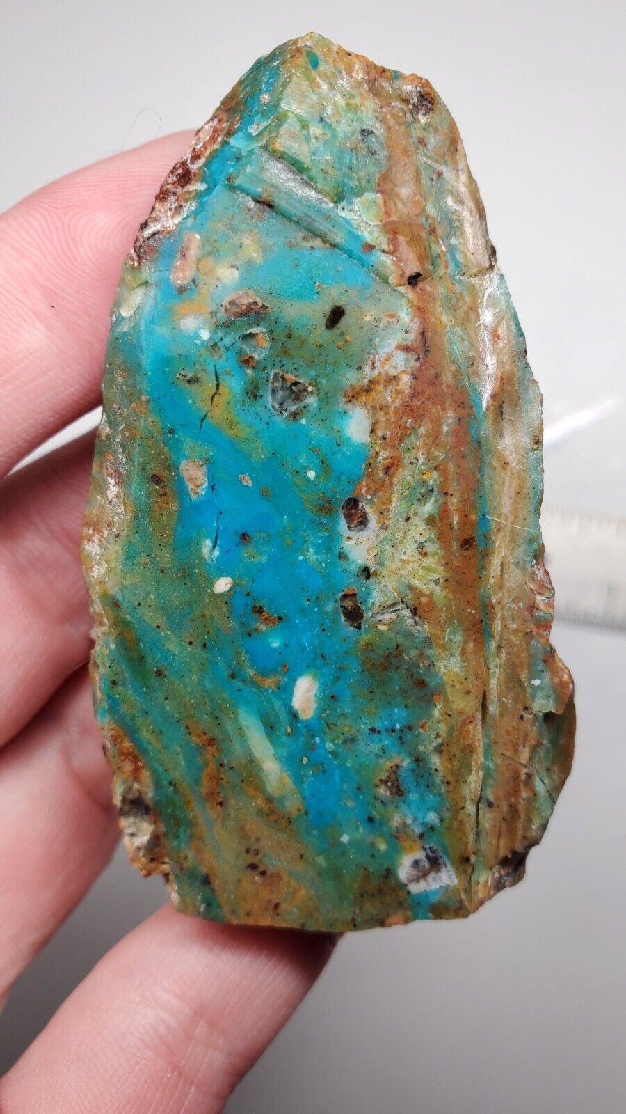 147ct RARE Peruvian Blue Opal Wood Slab with Dendrites OLD STOCK Lapidary Rough