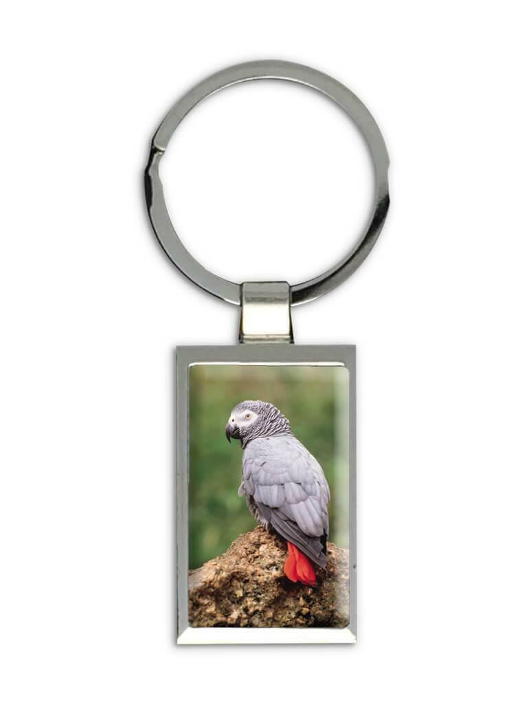 Gift Keychain : Parrot African Grey Macaw Bird Nature Animal Cute